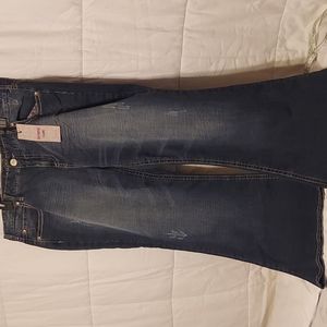 Best Deals for Maurices Briana Jeans 